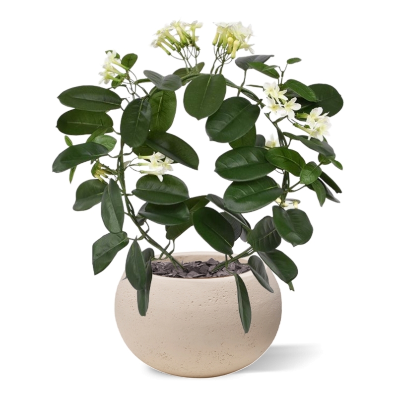 Pianta artificiale Stephanotis 40 cm