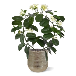 Pianta artificiale Stephanotis 40 cm