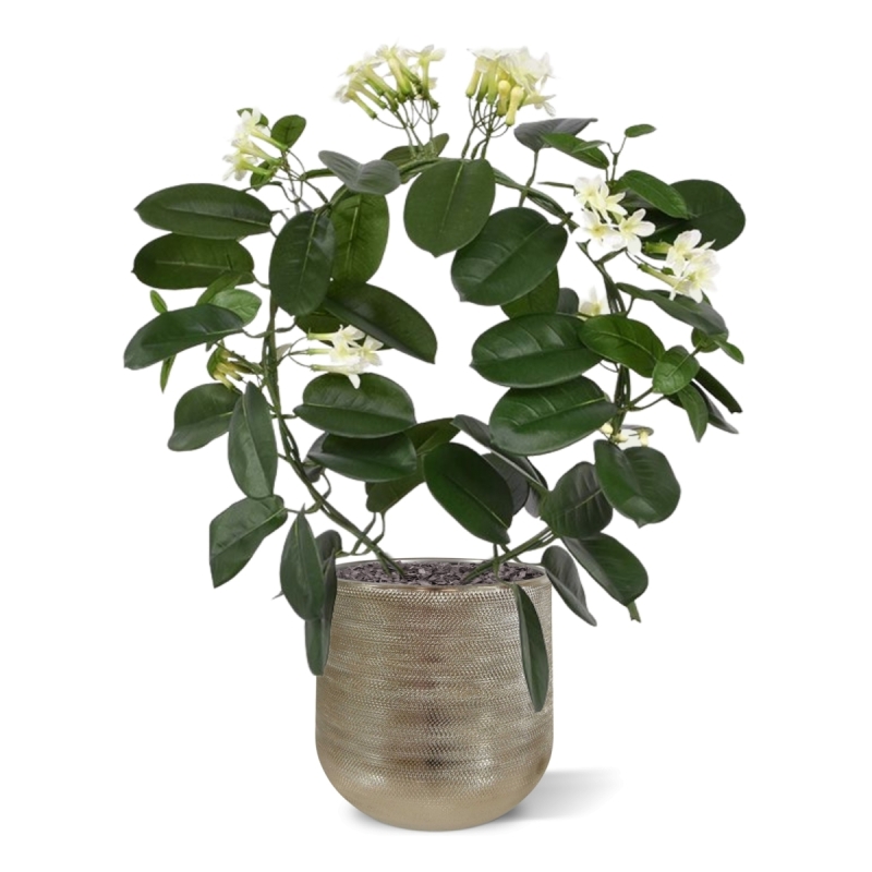 Pianta artificiale Stephanotis 40 cm
