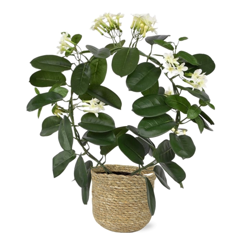 Pianta artificiale Stephanotis 40 cm