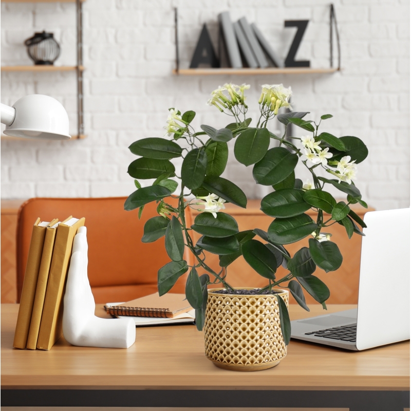 Pianta artificiale Stephanotis 40 cm