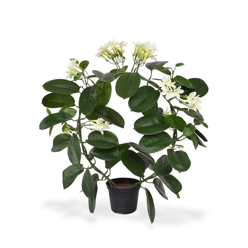 Pianta artificiale Stephanotis 40 cm