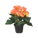 Begonia artificiale in vaso 20 cm - salmone