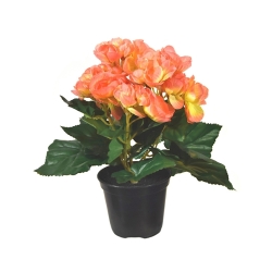 Begonia artificiale in vaso 20 cm - salmone