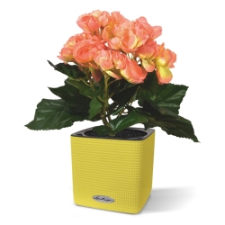 Begonia artificiale in vaso 20 cm - salmone