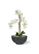 Orchidea artificiale Phalaenopsis 75 cm bianca