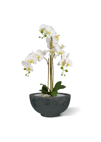 Orchidea artificiale Phalaenopsis 75 cm bianca
