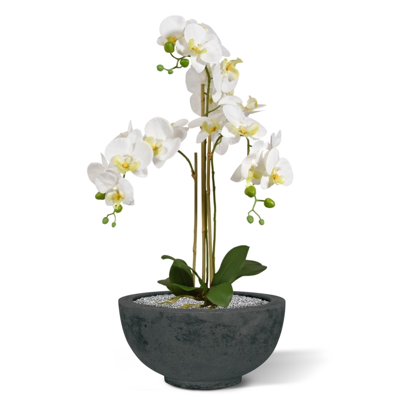 Orchidea artificiale Phalaenopsis 75 cm bianca