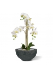 Orchidea artificiale Phalaenopsis 75 cm bianca