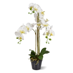 Orchidea artificiale Phalaenopsis 75 cm bianca