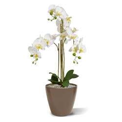 Orchidea artificiale Phalaenopsis 75 cm bianca