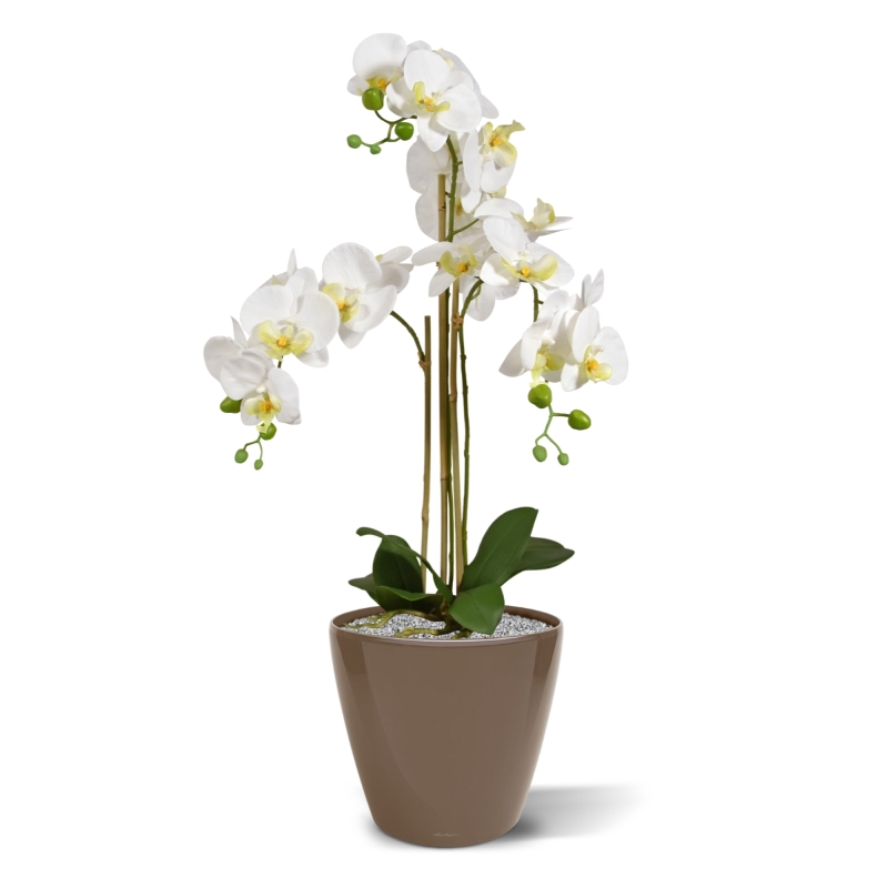 Orchidea artificiale Phalaenopsis 75 cm bianca