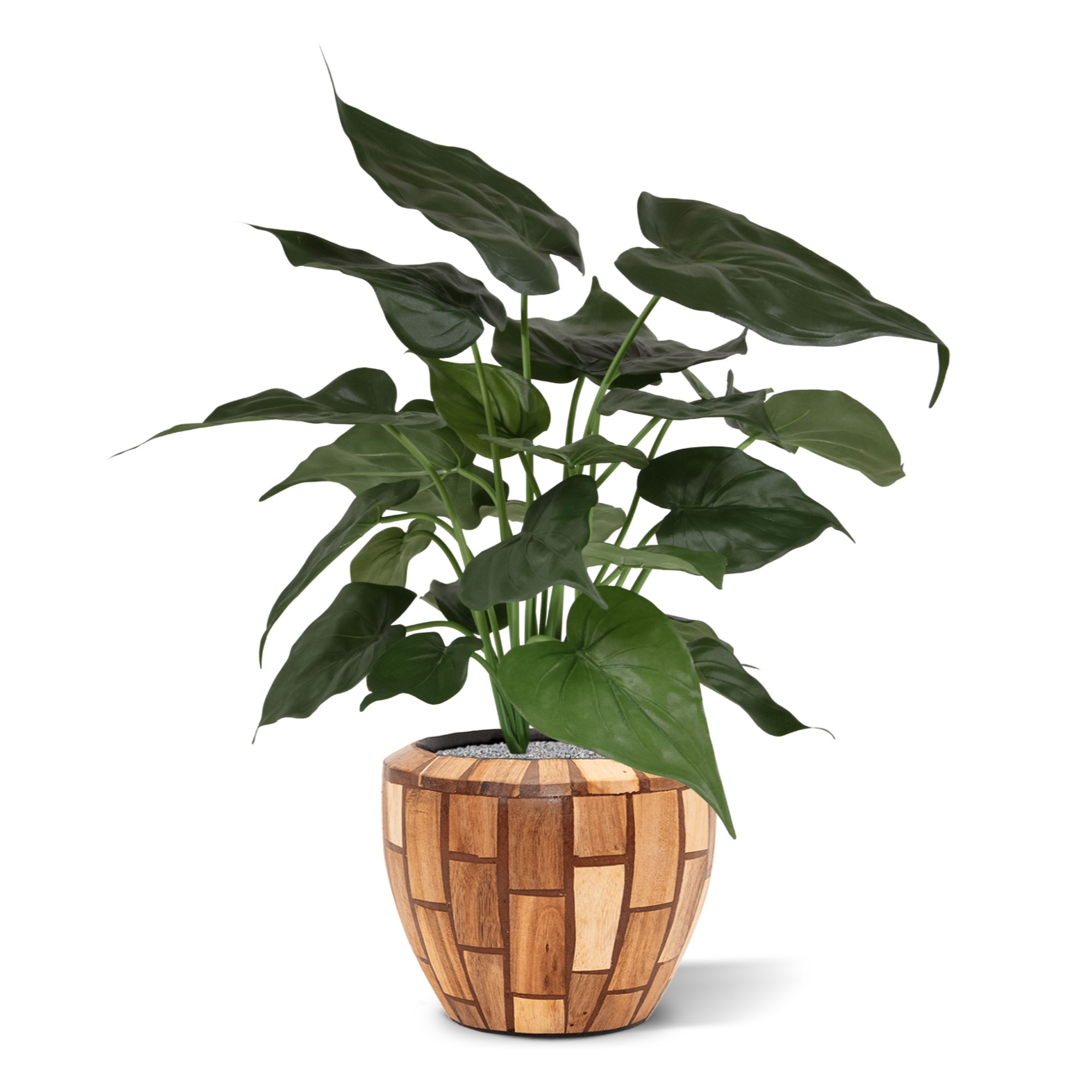 Alocasia Cucullata pianta artificiale 50 cm