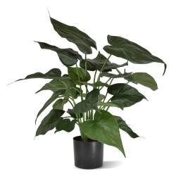 Alocasia Cucullata pianta artificiale 50 cm