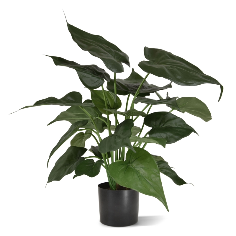 Alocasia Cucullata pianta artificiale 50 cm