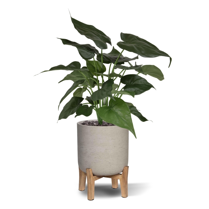 Alocasia Cucullata pianta artificiale 50 cm