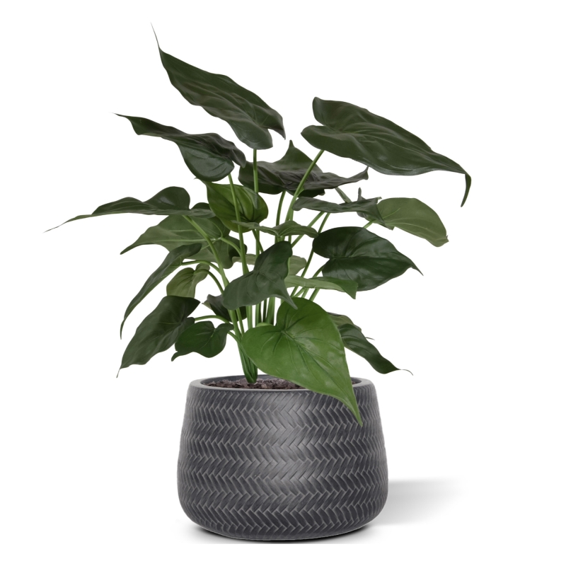 Alocasia Cucullata pianta artificiale 50 cm