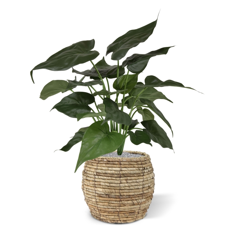 Alocasia Cucullata pianta artificiale 50 cm