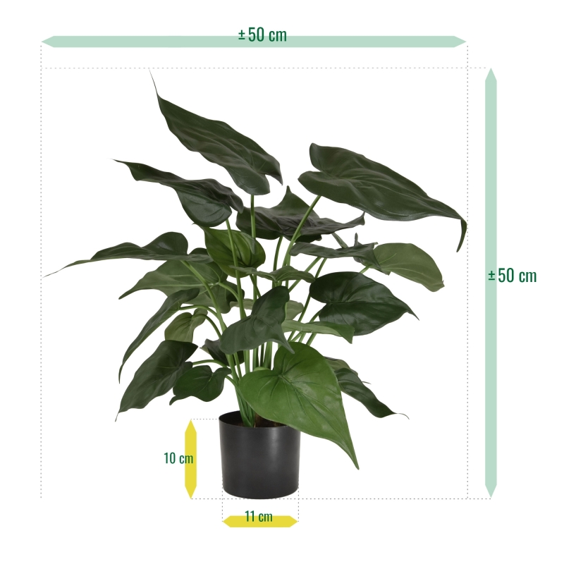 Alocasia Cucullata pianta artificiale 50 cm