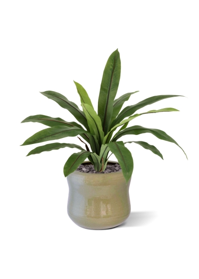 Felce Asplenium Antiquum Artificiale 40cm