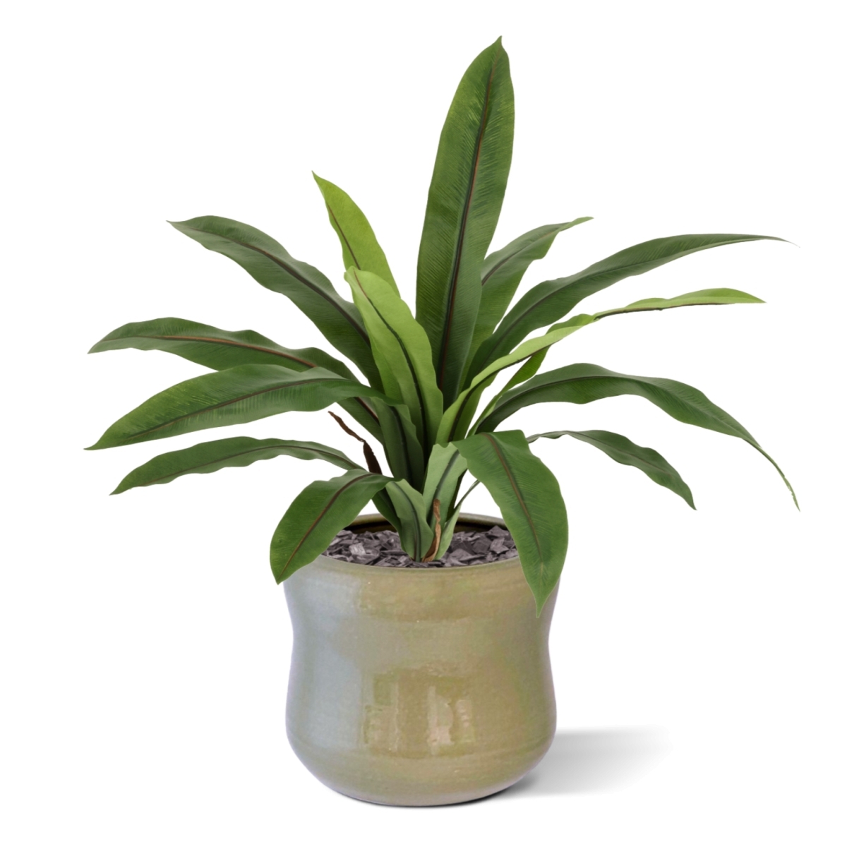 Felce Asplenium Antiquum Artificiale 40cm