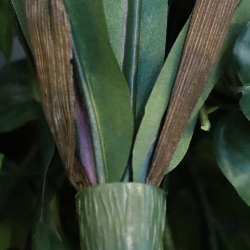 Felce Asplenium Antiquum Artificiale 40cm