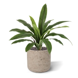 Felce Asplenium Antiquum Artificiale 40cm