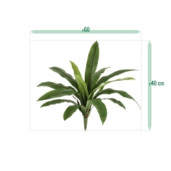 Felce Asplenium Antiquum Artificiale 40cm