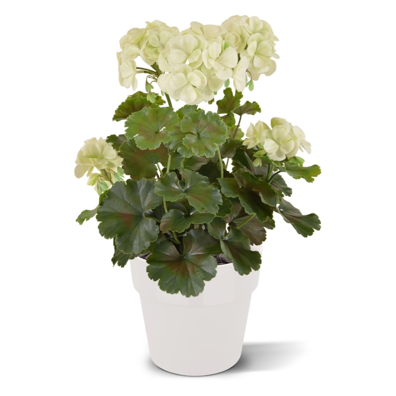 Geranio PL pianta artificiale 38cm - crema - resistente ai raggi UV