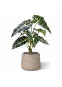 Alocasia pianta artificiale Promo 40cm verde