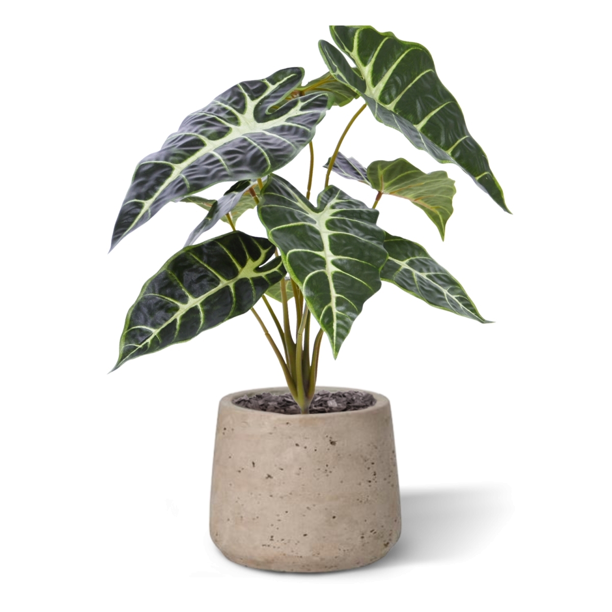 Alocasia pianta artificiale Promo 40cm verde