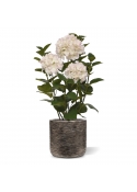 Ortensia Pianta artificiale in vaso 65cm Bianco