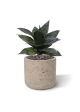 Sanseveria Pianta artificiale 25cm verde