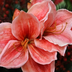 Mazzo di seta Helene Reims 85cm