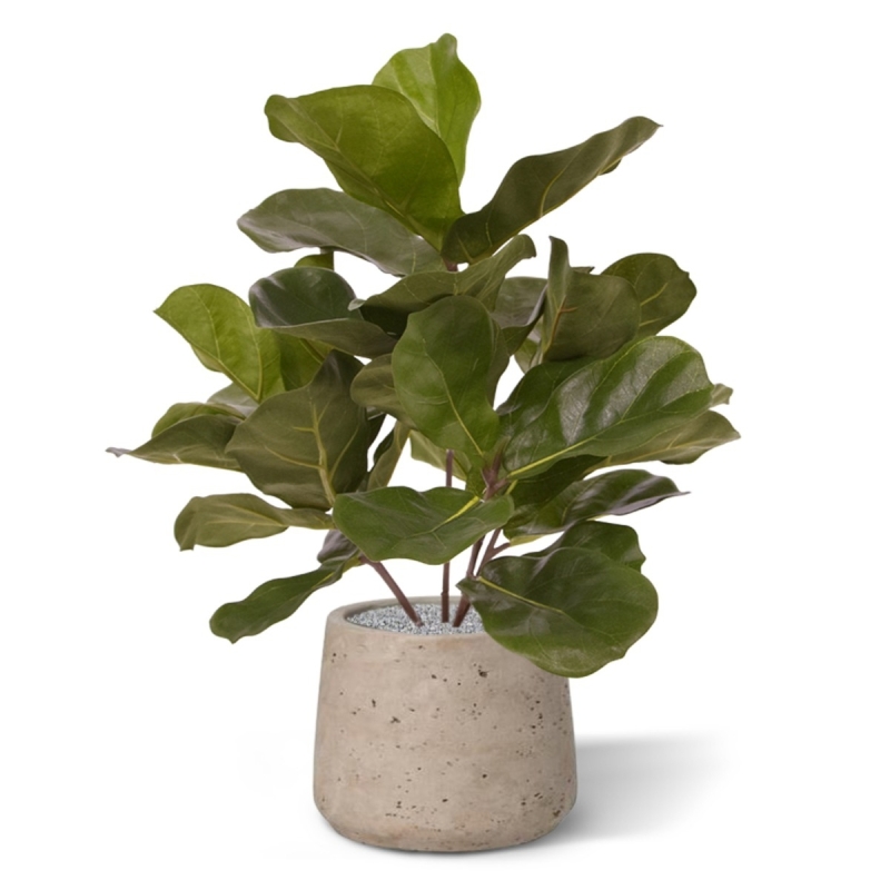 Pianta artificiale Royal Lyrata 45 cm