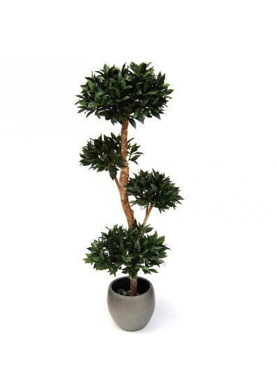 Alloro Deluxe x4 170 cm