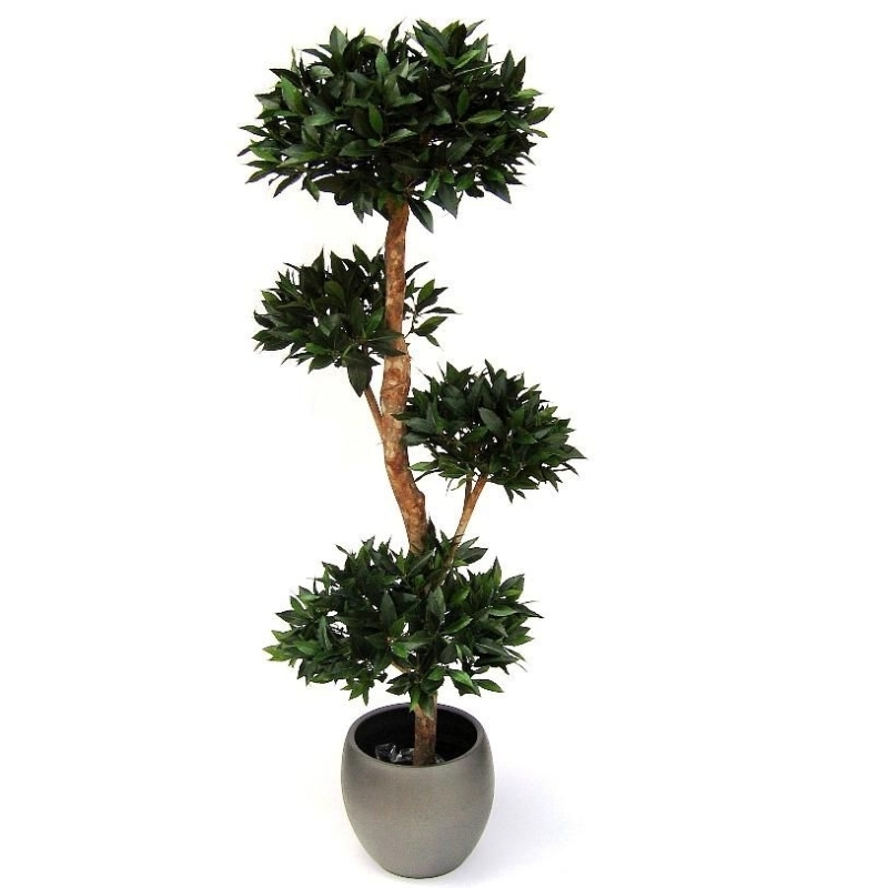Alloro Deluxe x4 170 cm