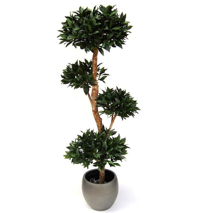 Alloro Deluxe x4 170 cm