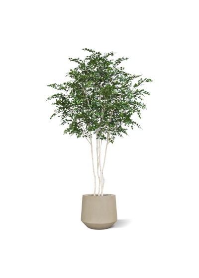 Albero artificiale di betulla Deluxe XXL 350 cm