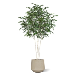 Albero artificiale di betulla Deluxe XXL 350 cm