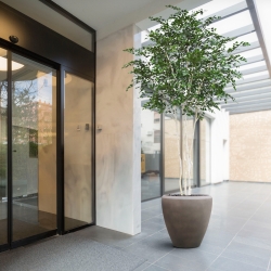 Albero artificiale di betulla Deluxe XXL 350 cm