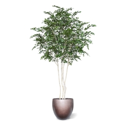 Albero artificiale di betulla Deluxe XXL 350 cm