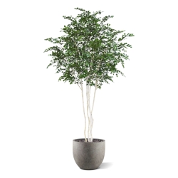 Albero artificiale di betulla Deluxe XXL 350 cm