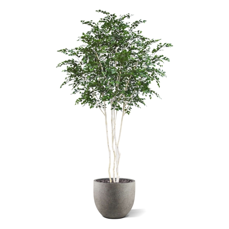 Albero artificiale di betulla Deluxe XXL 350 cm