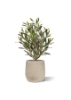 Pianta di Ulivo Artificiale 50cm UV