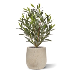 Pianta di Ulivo Artificiale 50cm UV