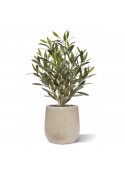Pianta di Ulivo Artificiale 50cm UV
