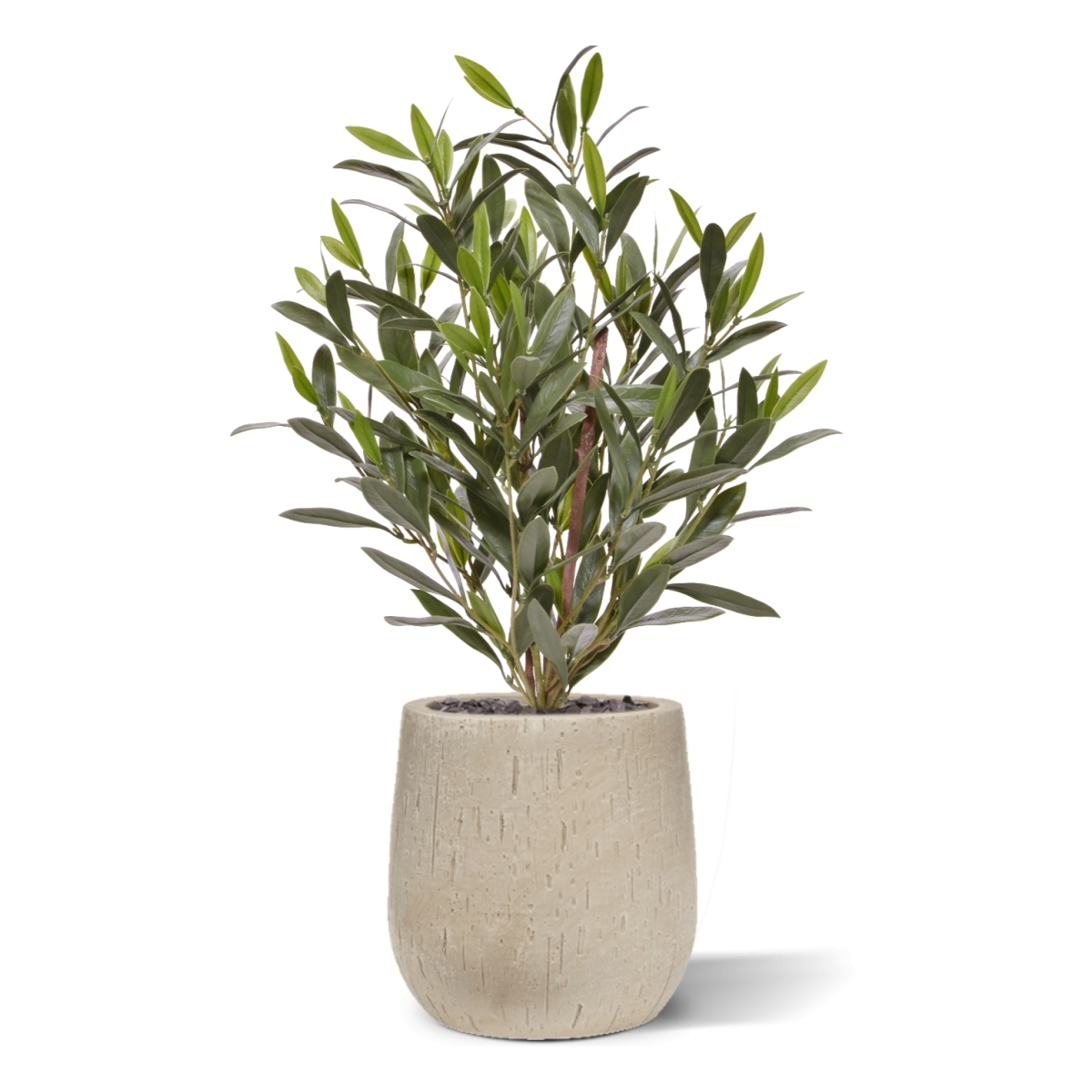 Pianta di Ulivo Artificiale 50cm UV