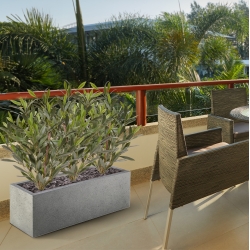Pianta di Ulivo Artificiale 50cm UV