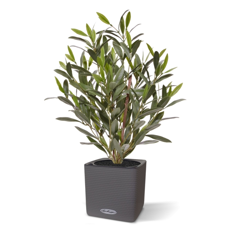 Pianta di Ulivo Artificiale 50cm UV